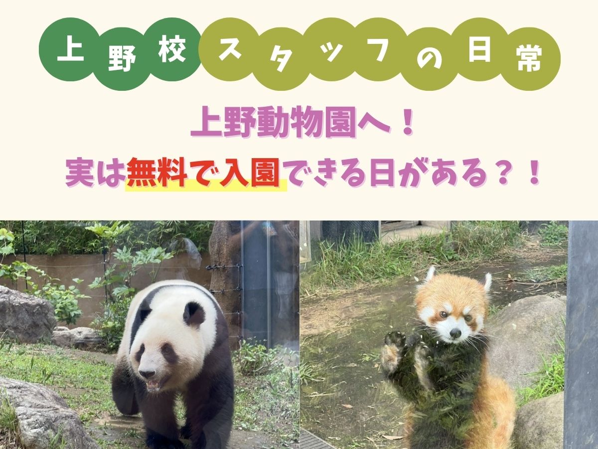 【上野校スタッフの日常】上野動物園へ！実は無料で入園できる日があるって知ってた？｜NAYUTAS上野校