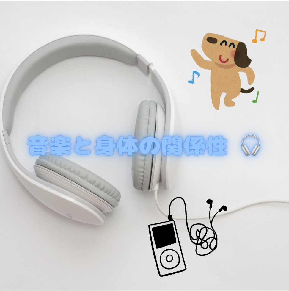 音楽と身体の関係性 🎧