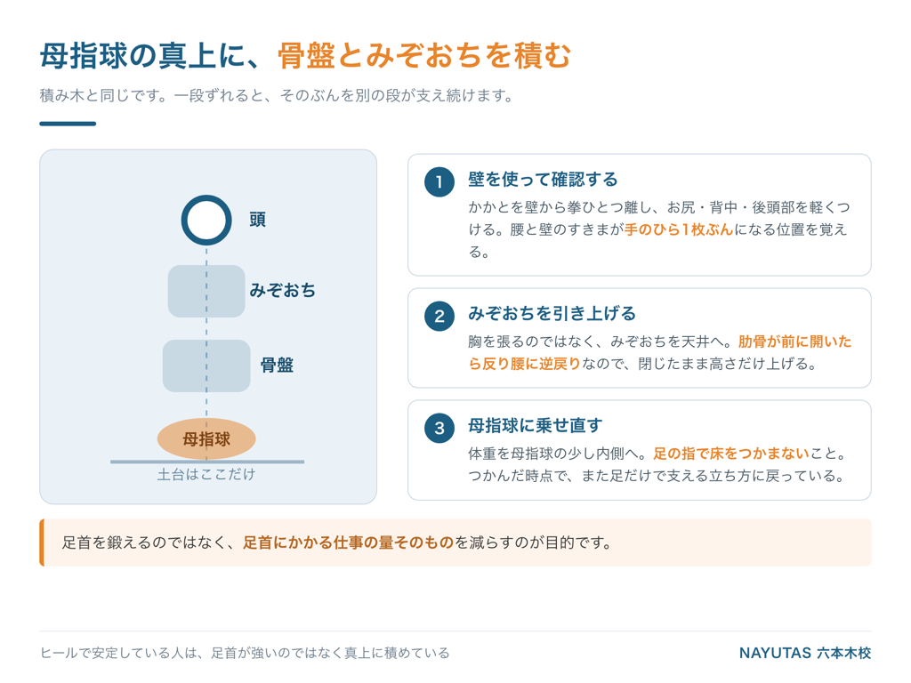 母指球・骨盤・みぞおち・頭を縦に積む立ち方の図