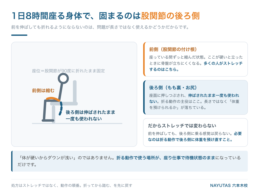 座り仕事で股関節の前側と後ろ側に起きていることの図解