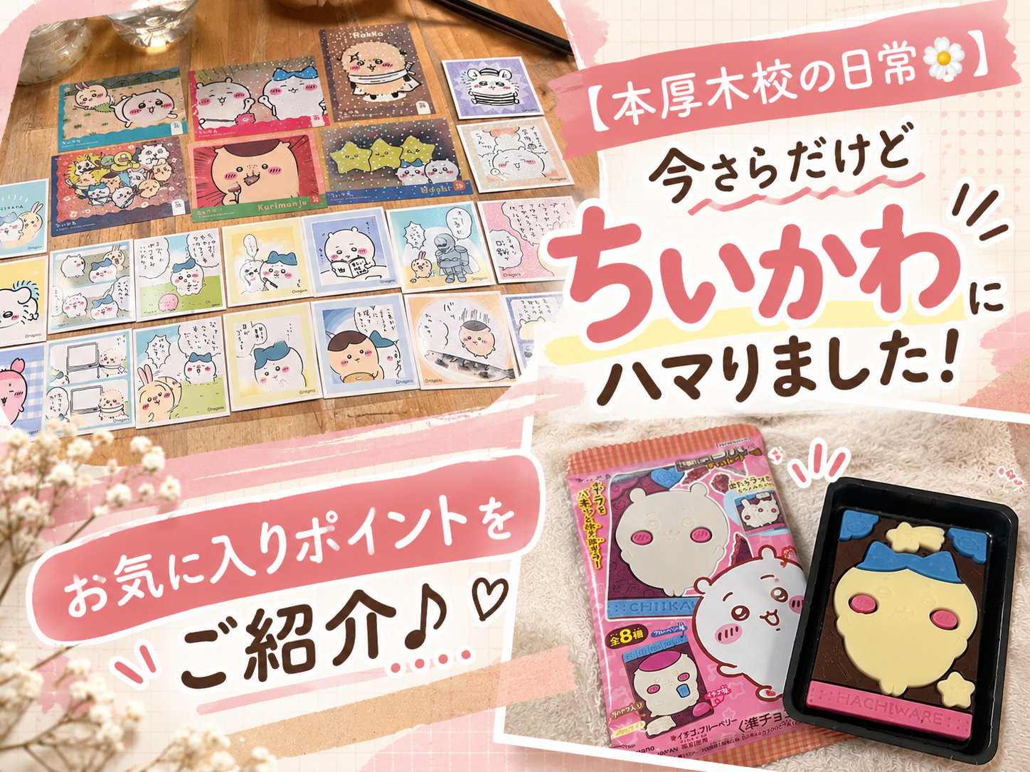 【本厚木校の日常🌼】今さらだけど「ちいかわ」にハマりました！お気に入りポイントをご紹介♪｜NAYUTAS本厚木校